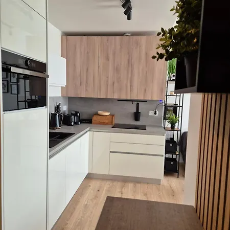 Danadrin Family Evergreen تالي