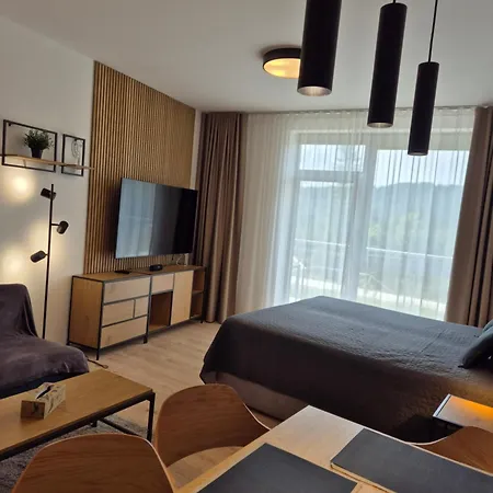 Danadrin Family Evergreen Apartment *