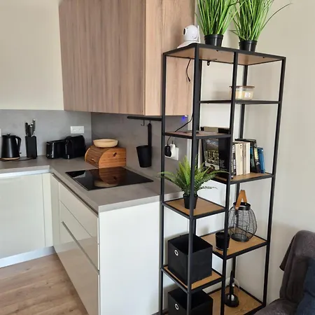 Danadrin Family Evergreen Apartment