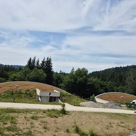 Danadrin Family Evergreen Appartement