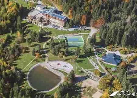 Danadrin Family Evergreen