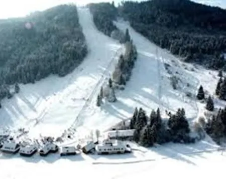 Danadrin Family Evergreen Apartment Tale